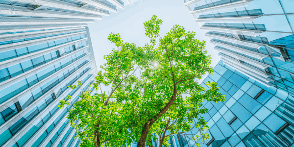 Greening the cloud