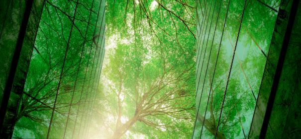 Momentum_1FT_GettyImages-1442149049-low-res2.png