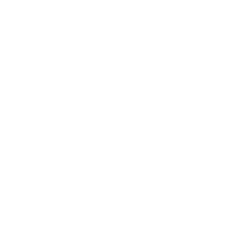 Momentum_Scale.png