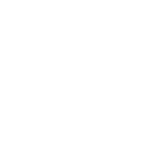 Momentum_Security-Shield-Lock.png